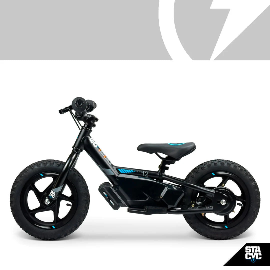 Stacyc 12E Drive